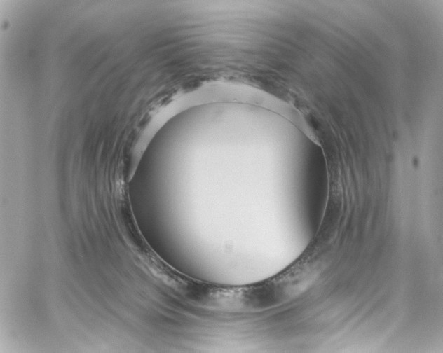 X0000059850084200511181549