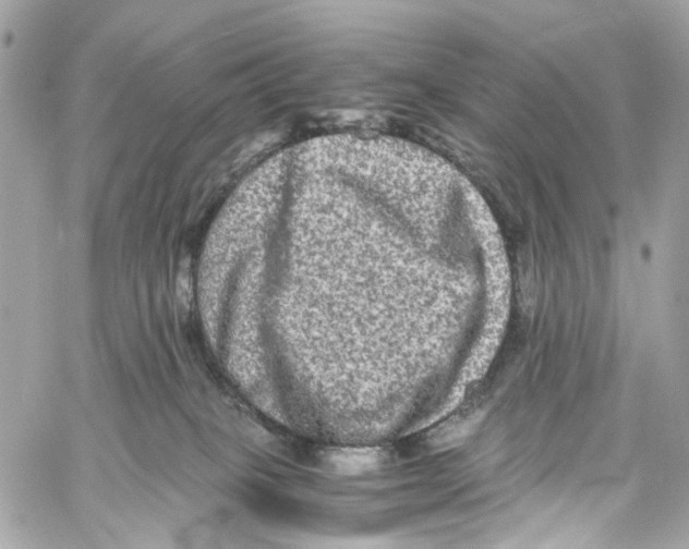 X0000059850085200511181549