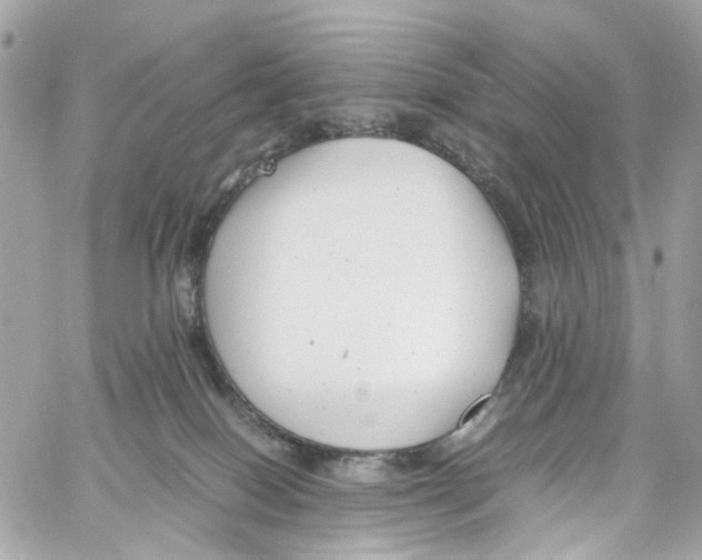 X0000059850086200511181549