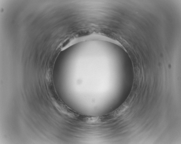 X0000059850088200511181549