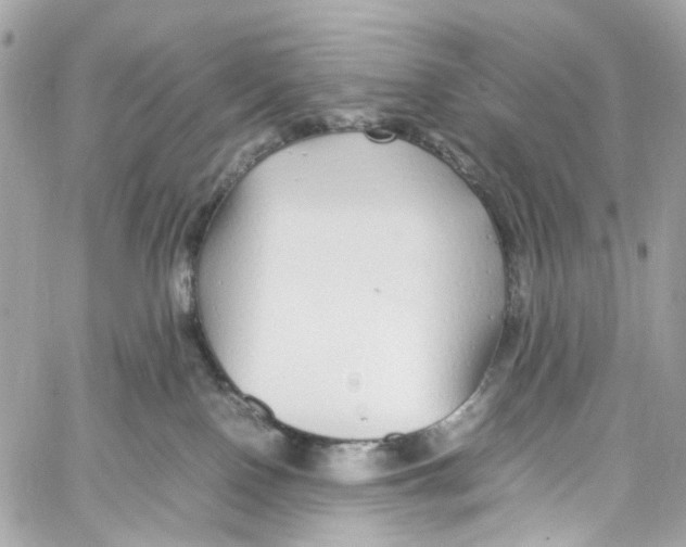 X0000059850090200511181549