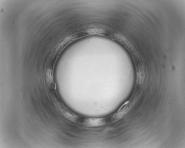 X0000059850093200511181549