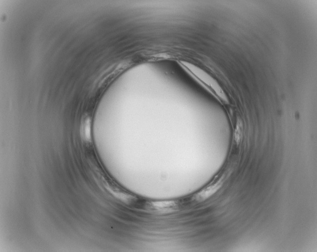 X0000059850095200511181549