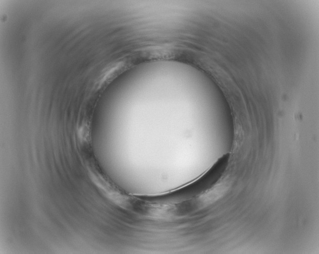 X0000059850096200511181549