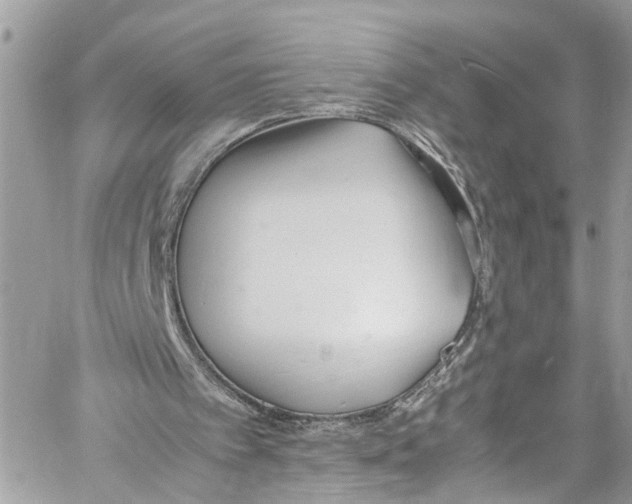 X0000059850097200511181548