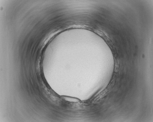 X0000059850098200511181548