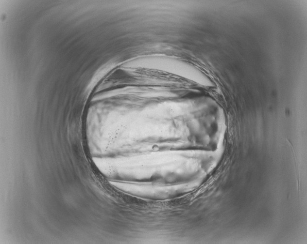 X0000059850099200511181548