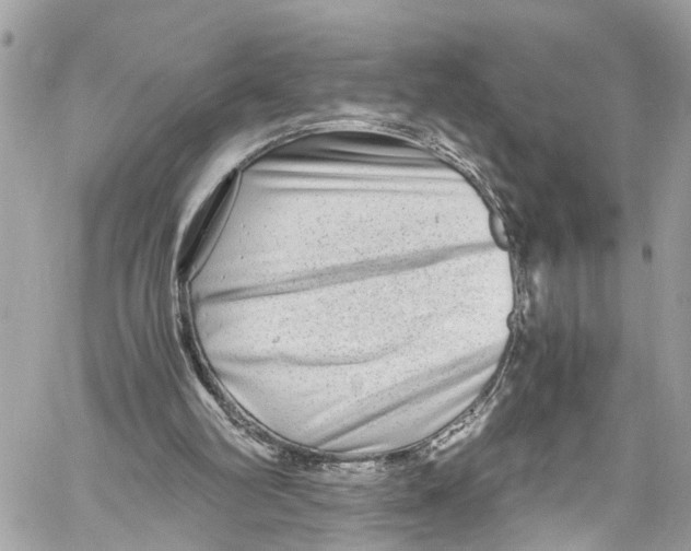 X0000059850102200511181548