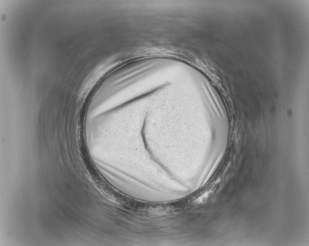 X0000059850103200511181548