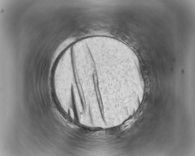 X0000059850104200511181548