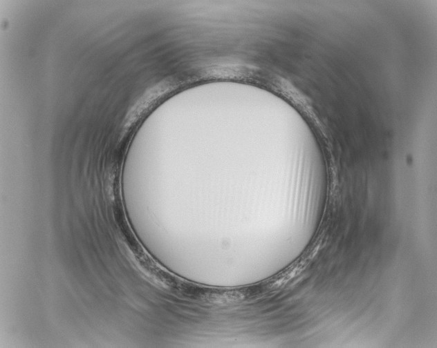 X0000059850106200511181548