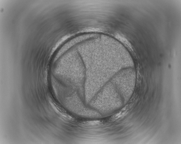 X0000059850108200511181548