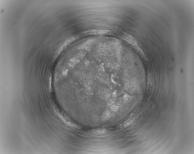 X0000059850110200511181548