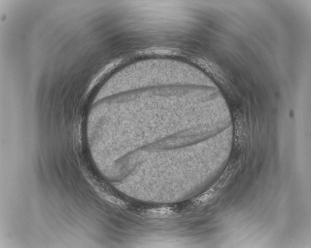 X0000059850112200511181548