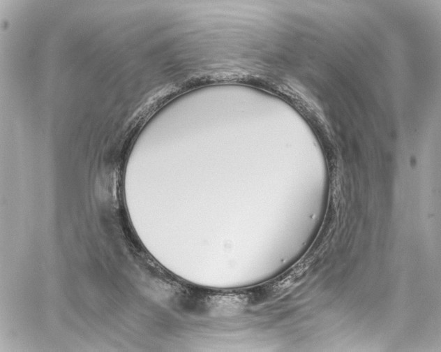 X0000059850115200511181548