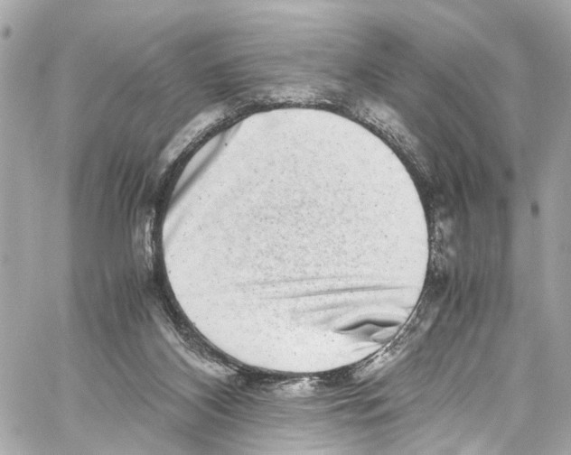 X0000059850116200511181548