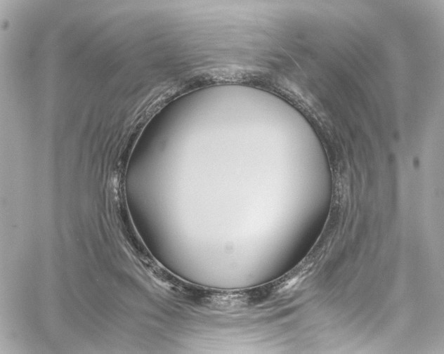 X0000059850117200511181548