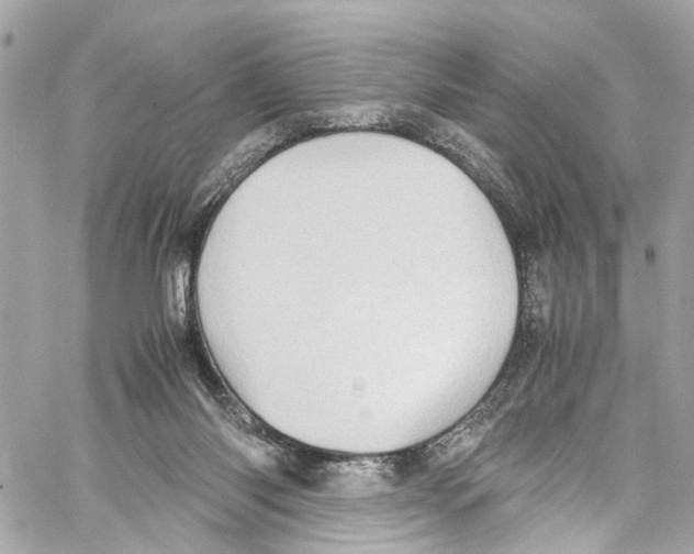 X0000059850118200511181548