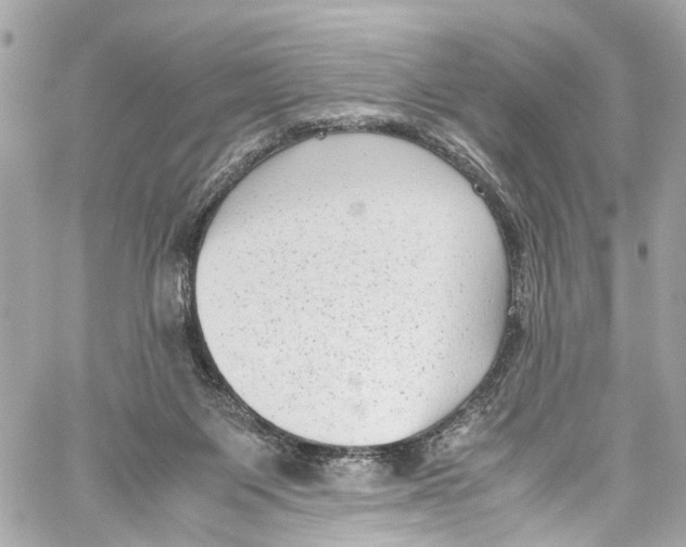 X0000059850119200511181548