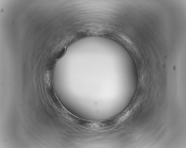 X0000059850121200511181548