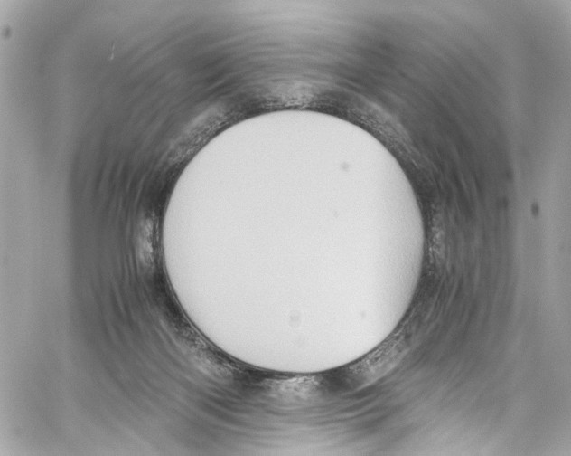 X0000059850122200511181548