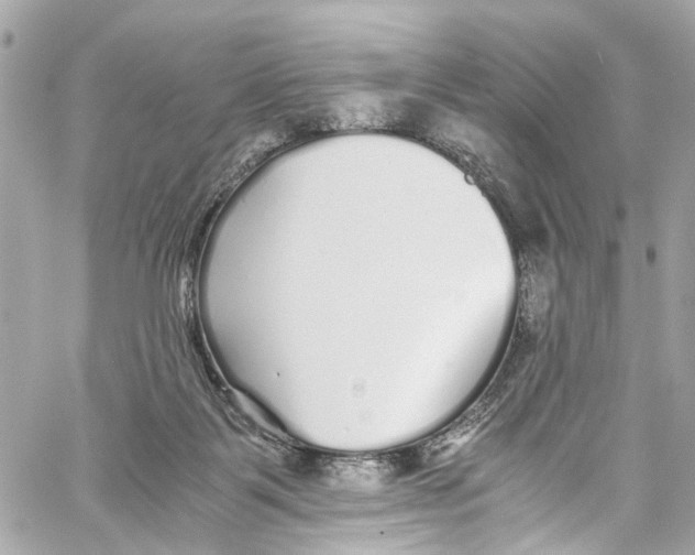 X0000059850123200511181548