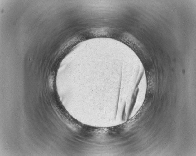 X0000059850124200511181548