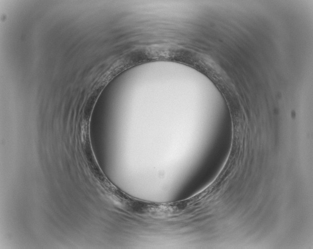 X0000059850125200511181548