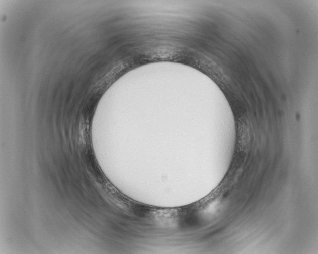 X0000059850126200511181548