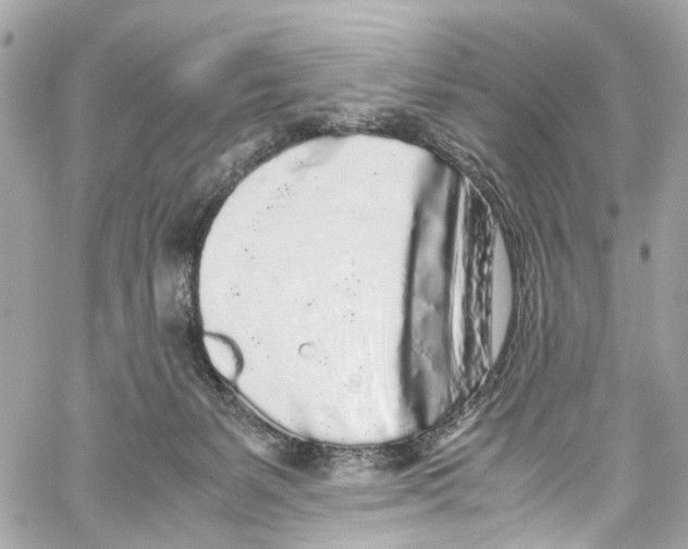 X0000059850127200511181548