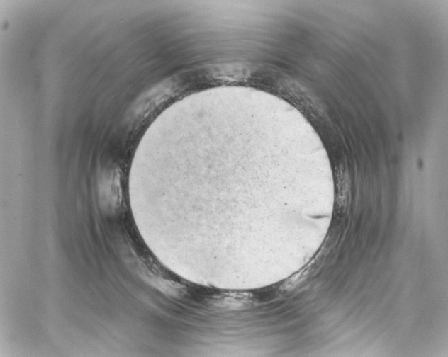 X0000059850128200511181548