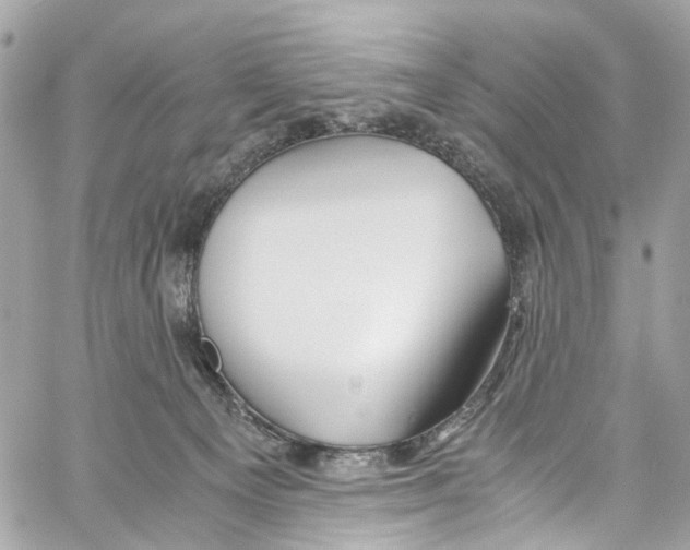 X0000059850129200511181548