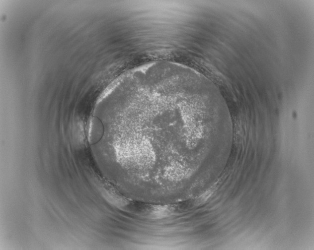 X0000059850130200511181548