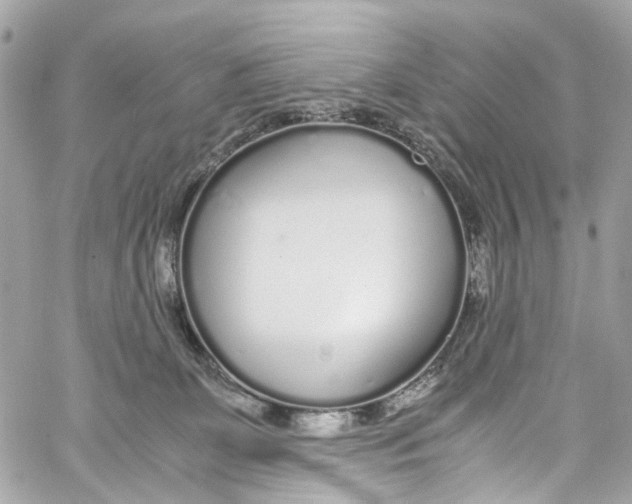 X0000059850131200511181548