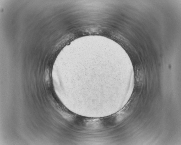 X0000059850132200511181548