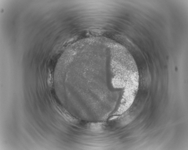 X0000059850134200511181548