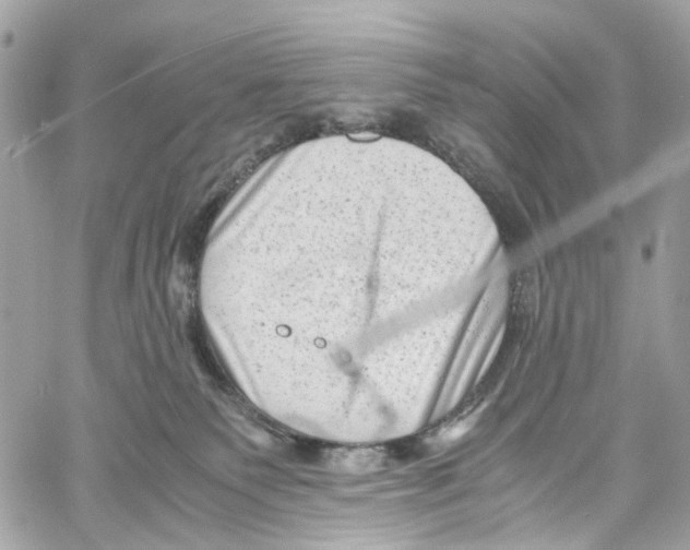 X0000059850135200511181548