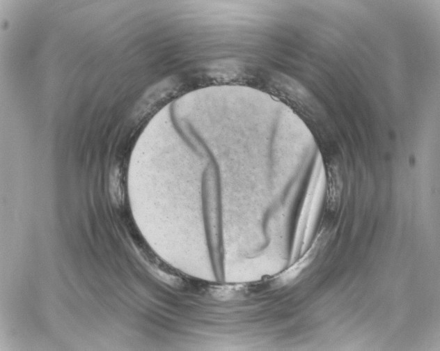 X0000059850136200511181548