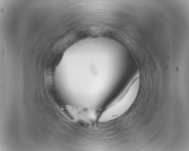 X0000059850137200511181548