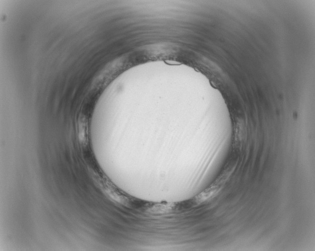 X0000059850138200511181548