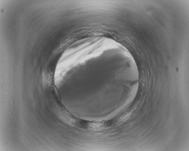 X0000059850139200511181548