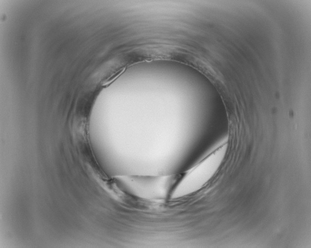 X0000059850141200511181548