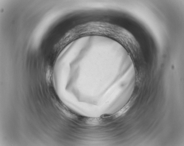 X0000059850142200511181548