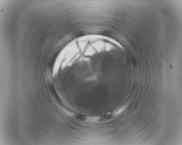 X0000059850143200511181548