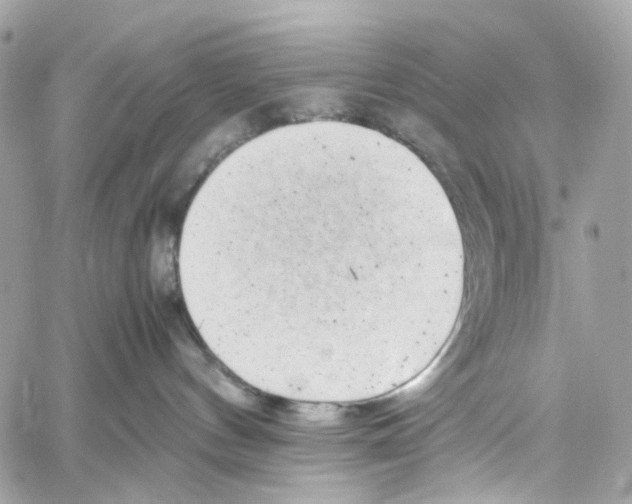 X0000059850144200511181548