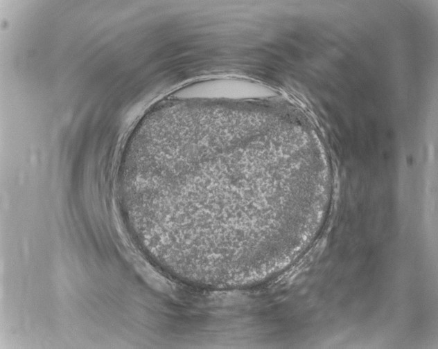 X0000059850145200511181547