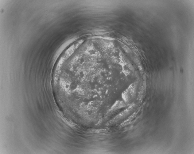 X0000059850147200511181547