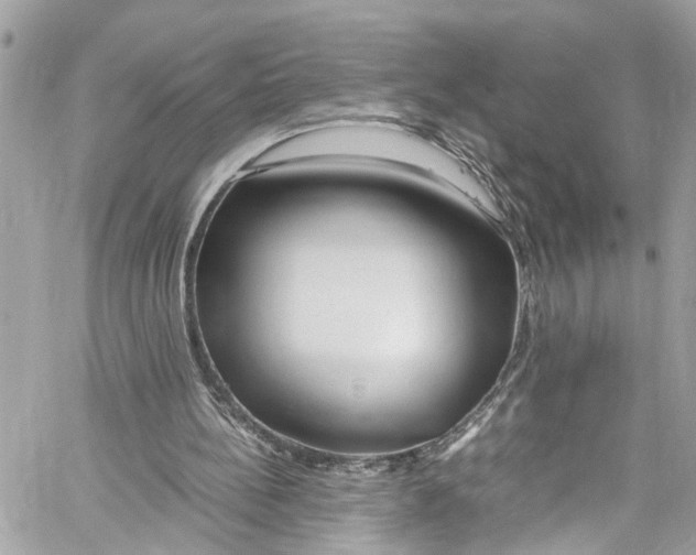 X0000059850148200511181547