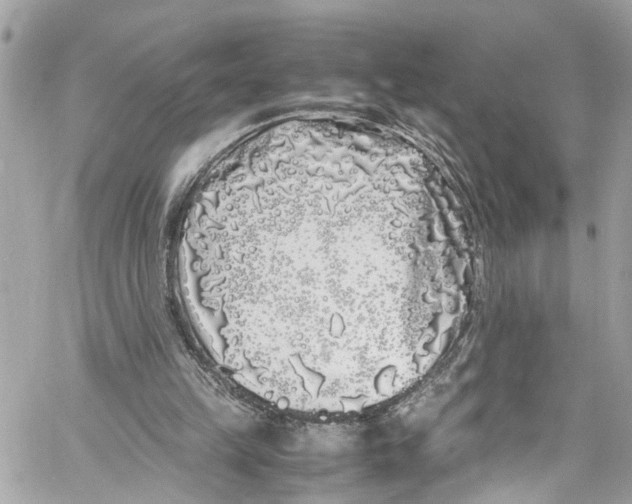 X0000059850149200511181547