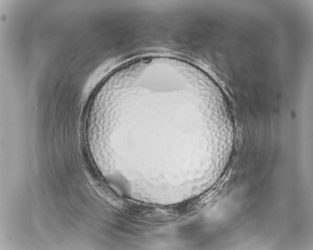 X0000059850151200511181547